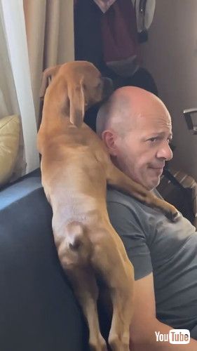 パパの頭をなめる犬