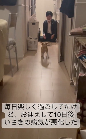 玄関に走っていくワンコ