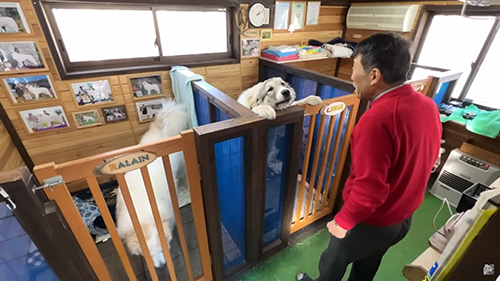 お父さんのお迎え