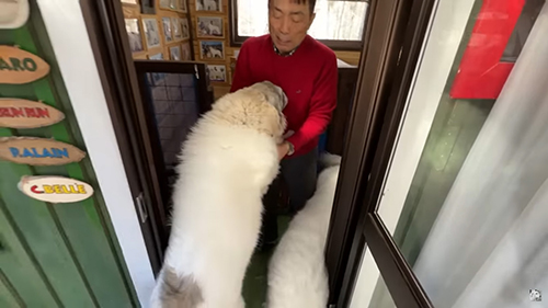 立ち上がるベルちゃん