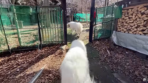 ルンルンちゃんの背中