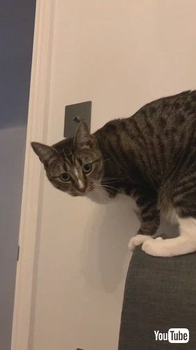 電気がついた！