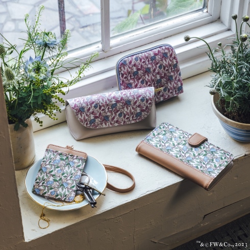 ピーターラビット×アフタヌーンティー・リビング