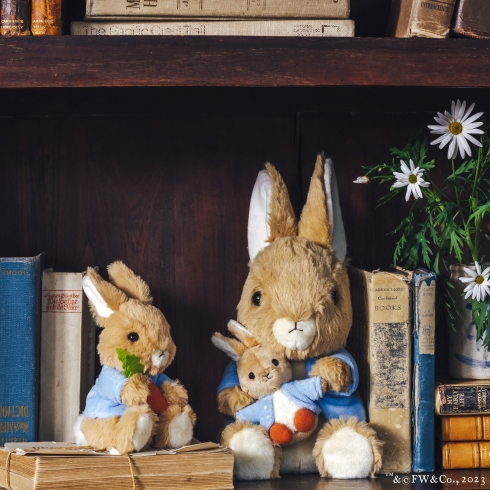 ピーターラビット×アフタヌーンティー・リビング