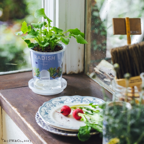 ピーターラビット×アフタヌーンティー・リビング