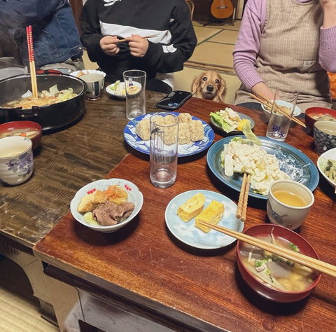 食べ物眺めてるワンコ