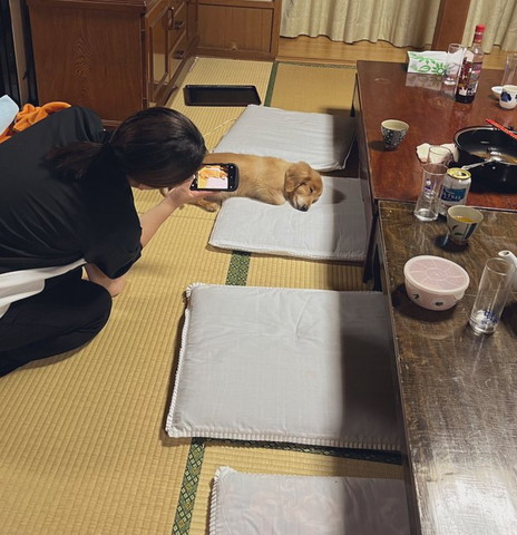 寝姿を写真にとらえるワンコ