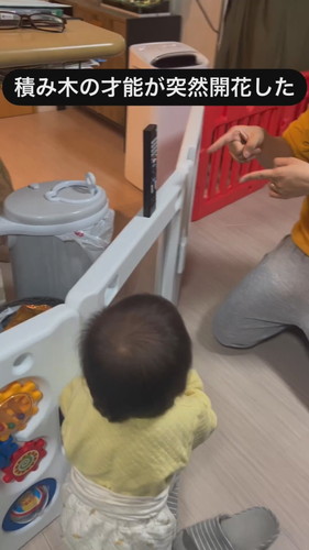 「積み木の才能が突然開花した」
