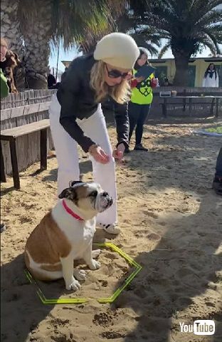 乗り気じゃないワンコ