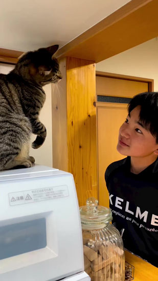 息子さんを見つめるあんこくん