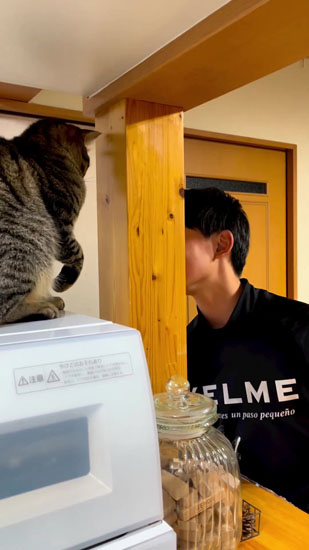 かくれんぼするあんこくん