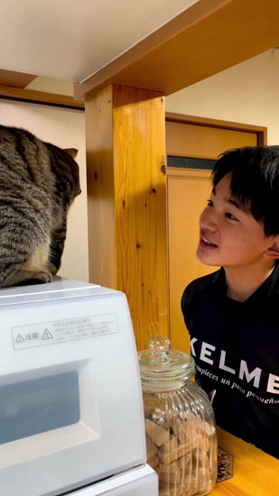 翻弄されるあんこくん