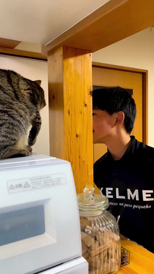 追いかけるあんこくん