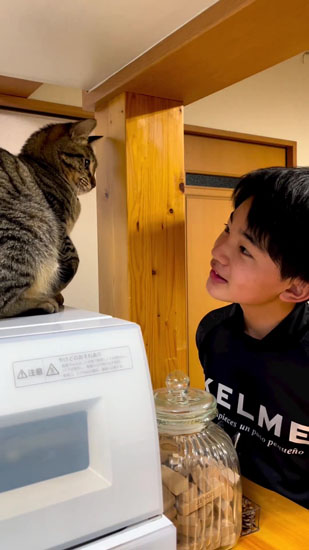 手玉にとられるあんこくん