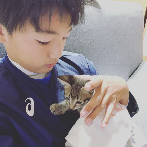 息子さんと子猫