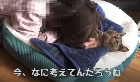 今何考えてんだろうテロップ