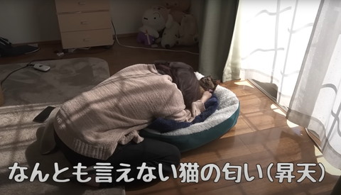 なんとも言えない猫の匂いテロップ