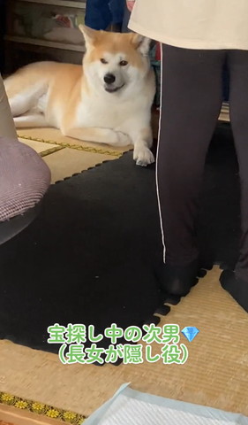 子供の足と後ろにワンコ