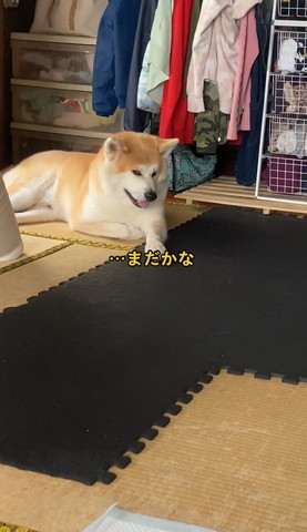 まだかなテロップ