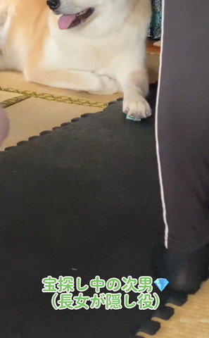 ワンコの前足アップ