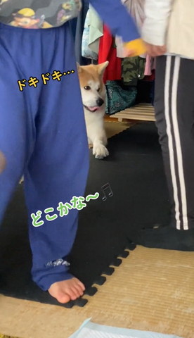 どこかな〜と探す男の子の後ろにワンコ