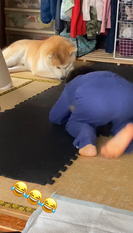 かがむ男の子とワンコ