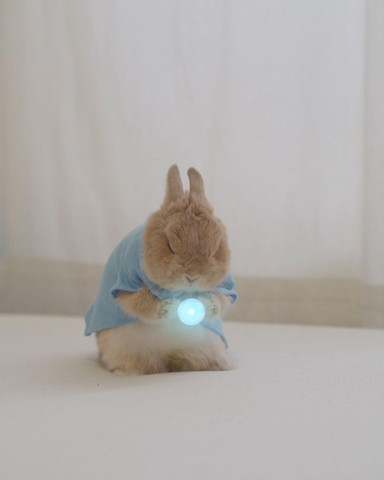 きばるウサギの手元に光