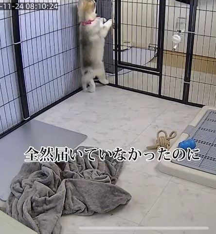 全然届いてないテロップ