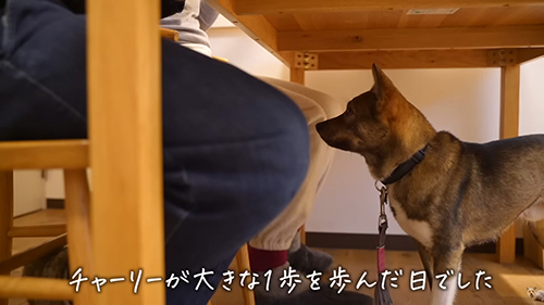 大きな一歩を歩んだ日でした