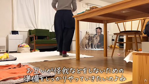 お互いがけがなどしないための