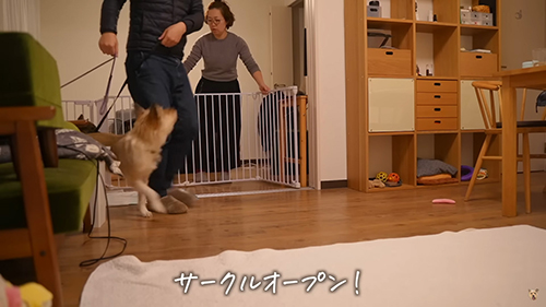 サークルオープン