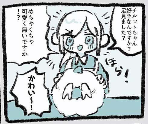 ポケセン 店員 神対応 チルット ぬいぐるみ レジ お姉さん ポケモンセンター