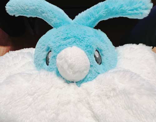 ポケセン 店員 神対応 チルット ぬいぐるみ レジ お姉さん ポケモンセンター