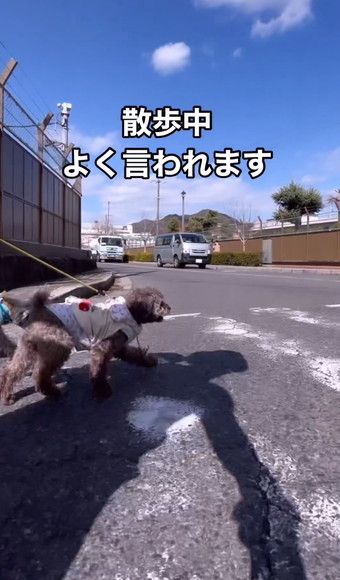 グレーの子先頭切る横断歩道