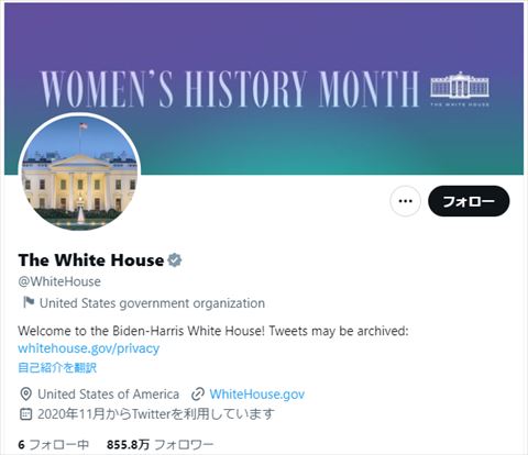 Twitter グレー 認証マーク