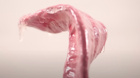 ポケモン ベロリンガ フィギュア