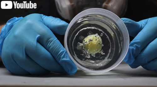 レジンに封入したバスボム