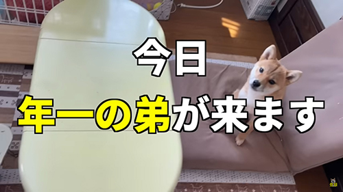 弟がきます