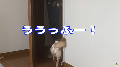 ううっふー