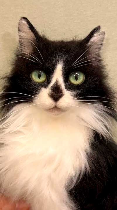 羊毛フェルト猫の制作風景