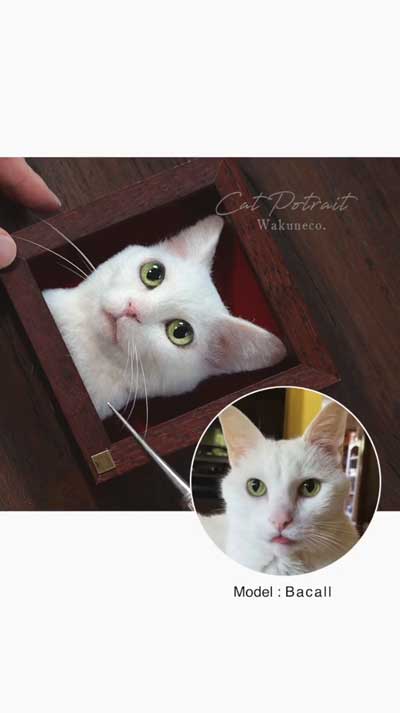 羊毛フェルト猫の制作風景