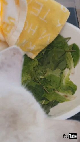 ぺしゃんこになった野菜