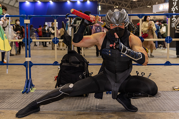 サーバル様の孤高の超忍リュウ・ハヤブサ