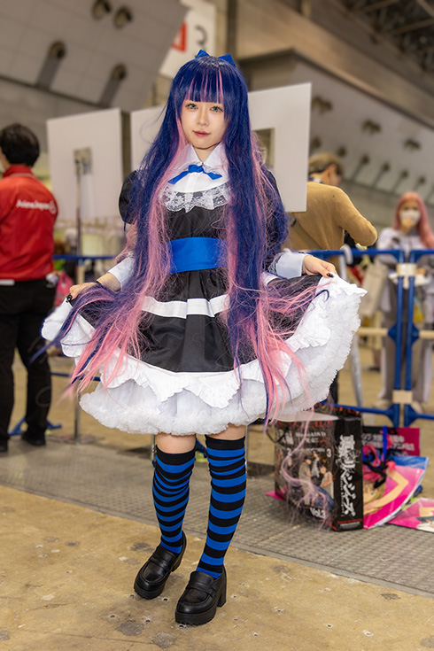 なまものの「パンティ&ストッキングwithガーターベルト」アナーキー・ストッキング