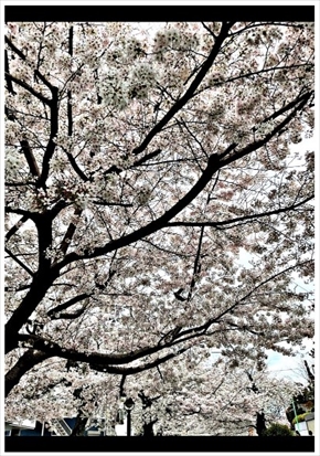 広田レオナのブログ