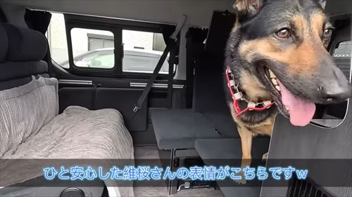 動物病院で文句タラタラなジャーマンシェパード