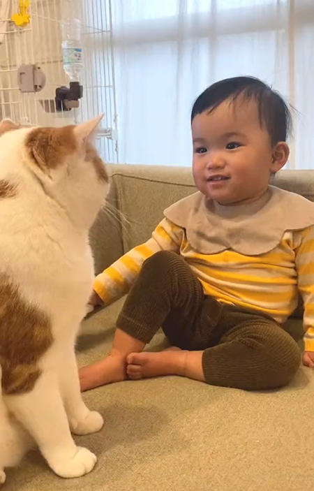 にっこり妹ちゃん