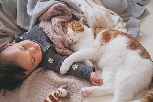 ぎゅっとお昼寝するふたり