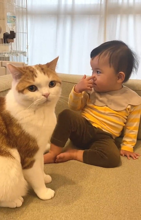 その後こちらを見るこなつくん