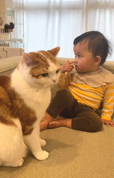 その後しょんぼりこなつくん